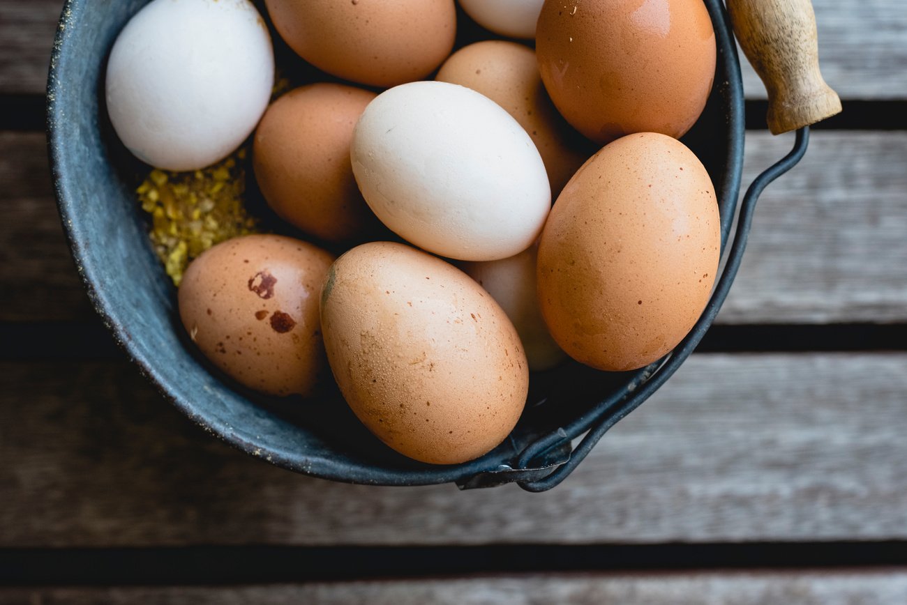 Bucket Full of Organic Chicken Eggs.